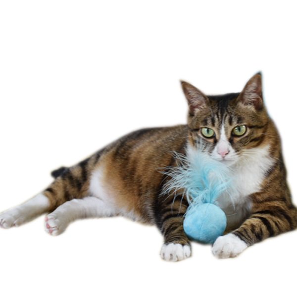 Cat Toy Feather Ball Blue