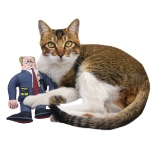 Cat Toy President Putin