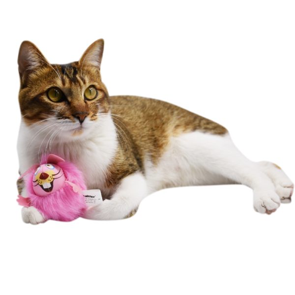 Cat Toy Rabbit Pink